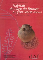 Habitats de l âge du Bronze à Lyon-Vaise (Rhône)