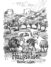 Hallplatser