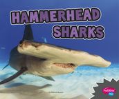 Hammerhead Sharks