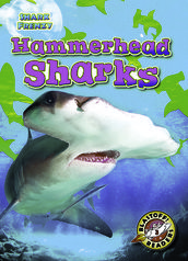 Hammerhead Sharks