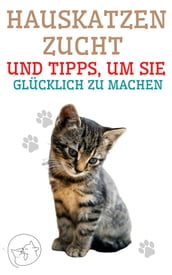 Hauskatzenzucht und Tipps, um sie glücklich zu machen