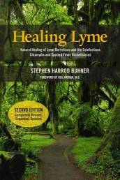 Healing Lyme