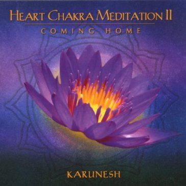Heart chakra meditation ii coming home - Karunesh