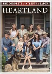 Heartland: Season 16 (4 Dvd) [Edizione: Stati Uniti]