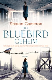 Het Bluebird geheim