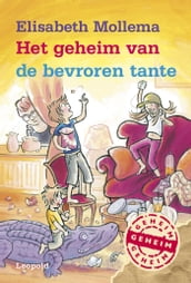 Het geheim van de bevroren tante