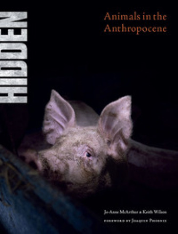 Hidden. Animals in the Anthropocene. Ediz. illustrata - Jo-Anne McArthur - Keith Wilson