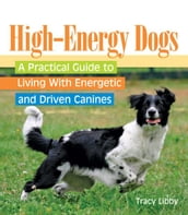 High-Energy Dogs