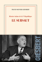 Histoire intime de la Ve République (Tome 1) - Le sursaut