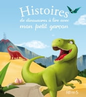 Histoires de dinosaures à lire avec mon petit garçon