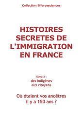 Histoires secretes de l immigration en France - tome 2