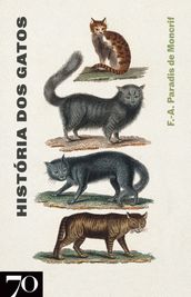 História dos Gatos