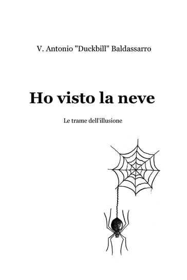 Ho visto la neve - Vito Antonio Baldassarro