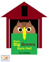Hoot, Big Brown Barn Owl