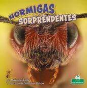 Hormigas sorprendentes (Amazing Ants)