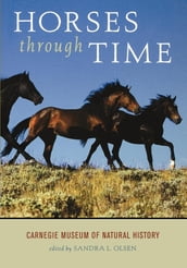 Horses through Time