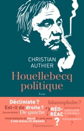 Houellebecq politique
