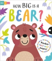 How Big is a Bear?