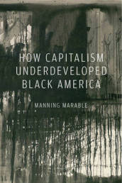 How Capitalism Underdeveloped Black America