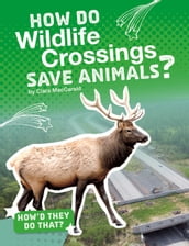 How Do Wildlife Crossings Save Animals?