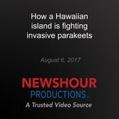 How a Hawaiian island is fighting invasive parakeets