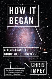 How It Began: A Time-Traveler s Guide to the Universe