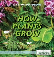 How Plants Grow