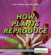 How Plants Reproduce