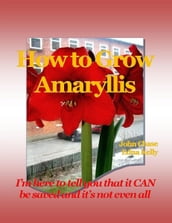 How to Grow Amaryllis