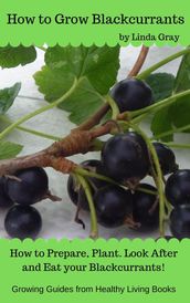 How to Grow Blackcurrants