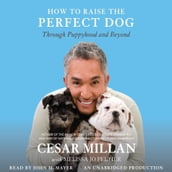 How to Raise the Perfect Dog