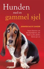 Hunden med en gammel sjel