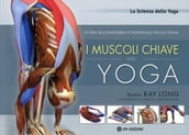 I Muscoli Chiave dello Yoga