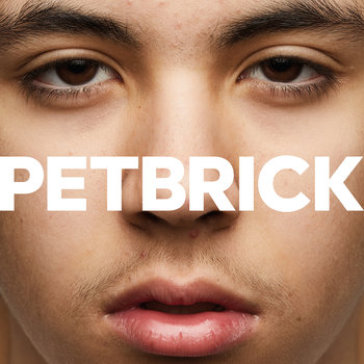 I - PETBRICK