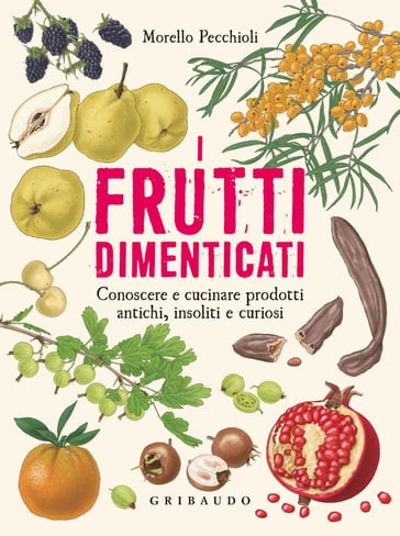 I frutti dimenticati - Morello Pecchioli