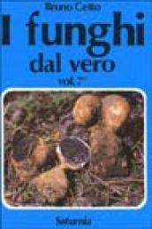 I funghi dal vero. 7.