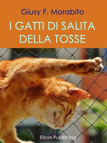 I gatti di salita della tosse - Giusy F. Morabito