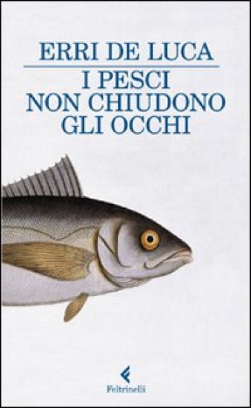 I pesci non chiudono gli occhi - Erri De Luca