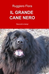 IL GRANDE CANE NERO