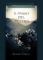 IL PASSO DEL PICCHIO