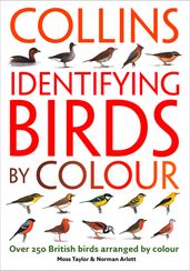 Identifying Birds by Colour