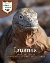 Iguanas