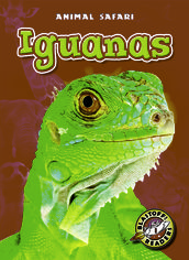 Iguanas