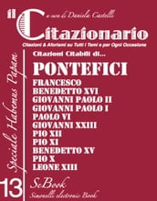 Il CITAZIONARIO n. 13