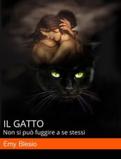 Il Gatto