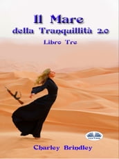 Il Mare Della Tranquillità 2.0