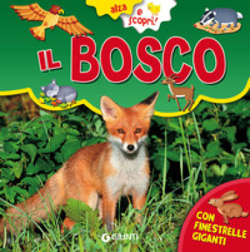 Il bosco. Ediz. a colori - Gianna Porciatti