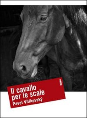 Il cavallo per le scale - Pavel Vilikovsky