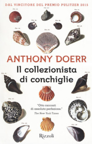 Il collezionista di conchiglie - Anthony Doerr