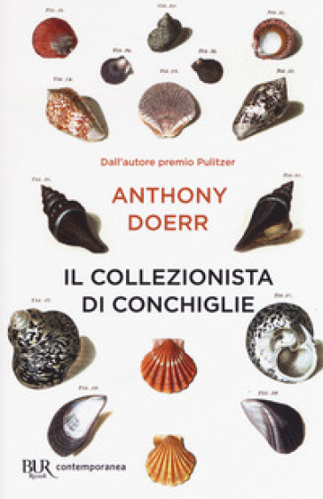 Il collezionista di conchiglie - Anthony Doerr